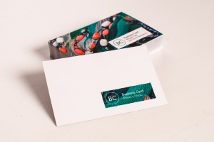 450g  non laminated Business Cards